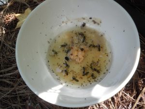 breakfast bowl using tuna plus three tablespoons of canola oil