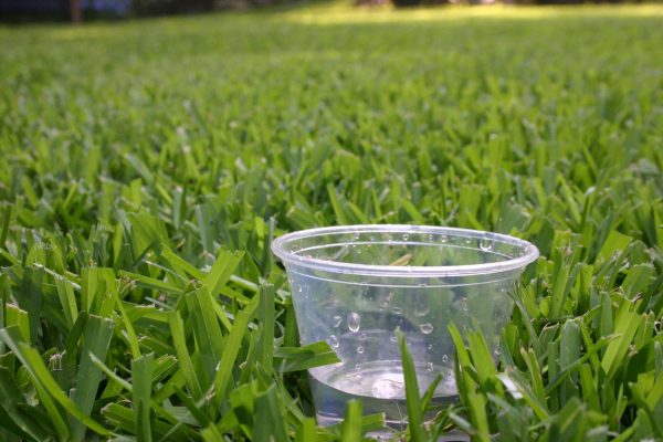 measure one inch of water by scattering a few cups in your lawn