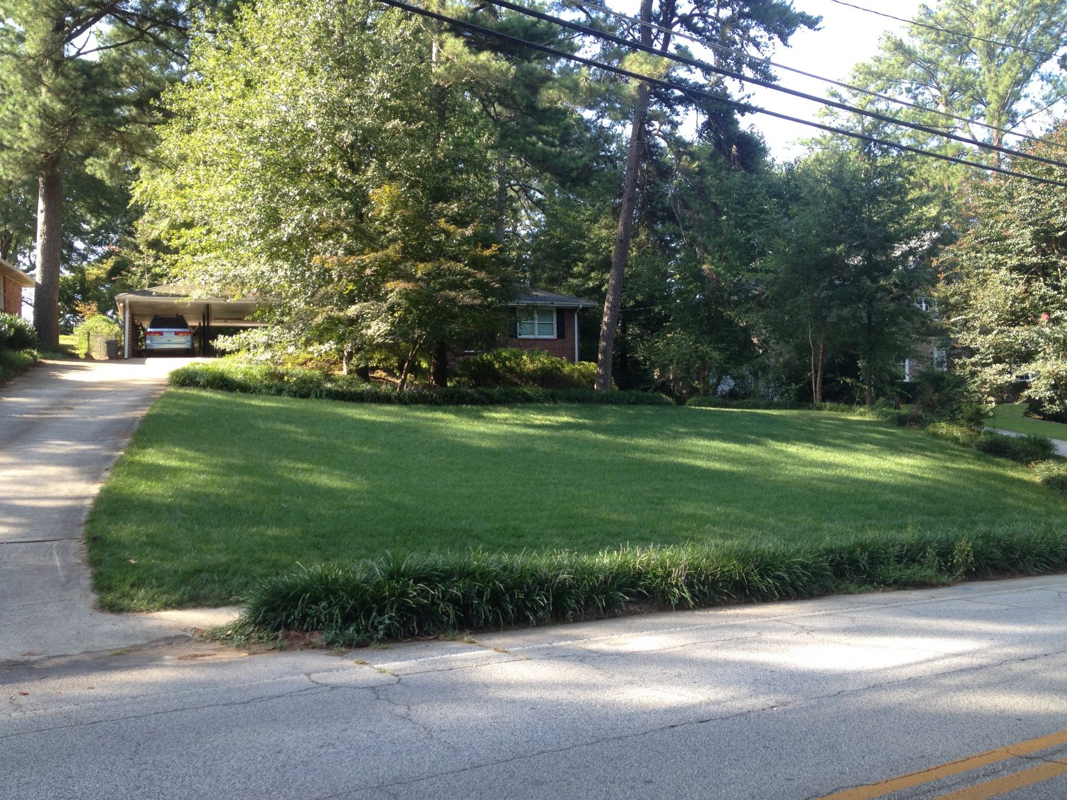 Fescue Planting in Shade Walter Reeves The Gardener