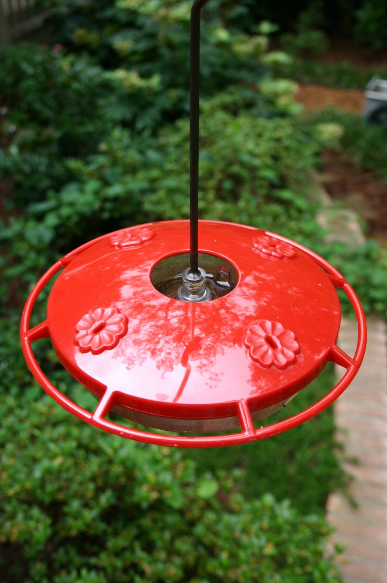 Hummingbird Feeder Bee and Wasp Control Walter Reeves The