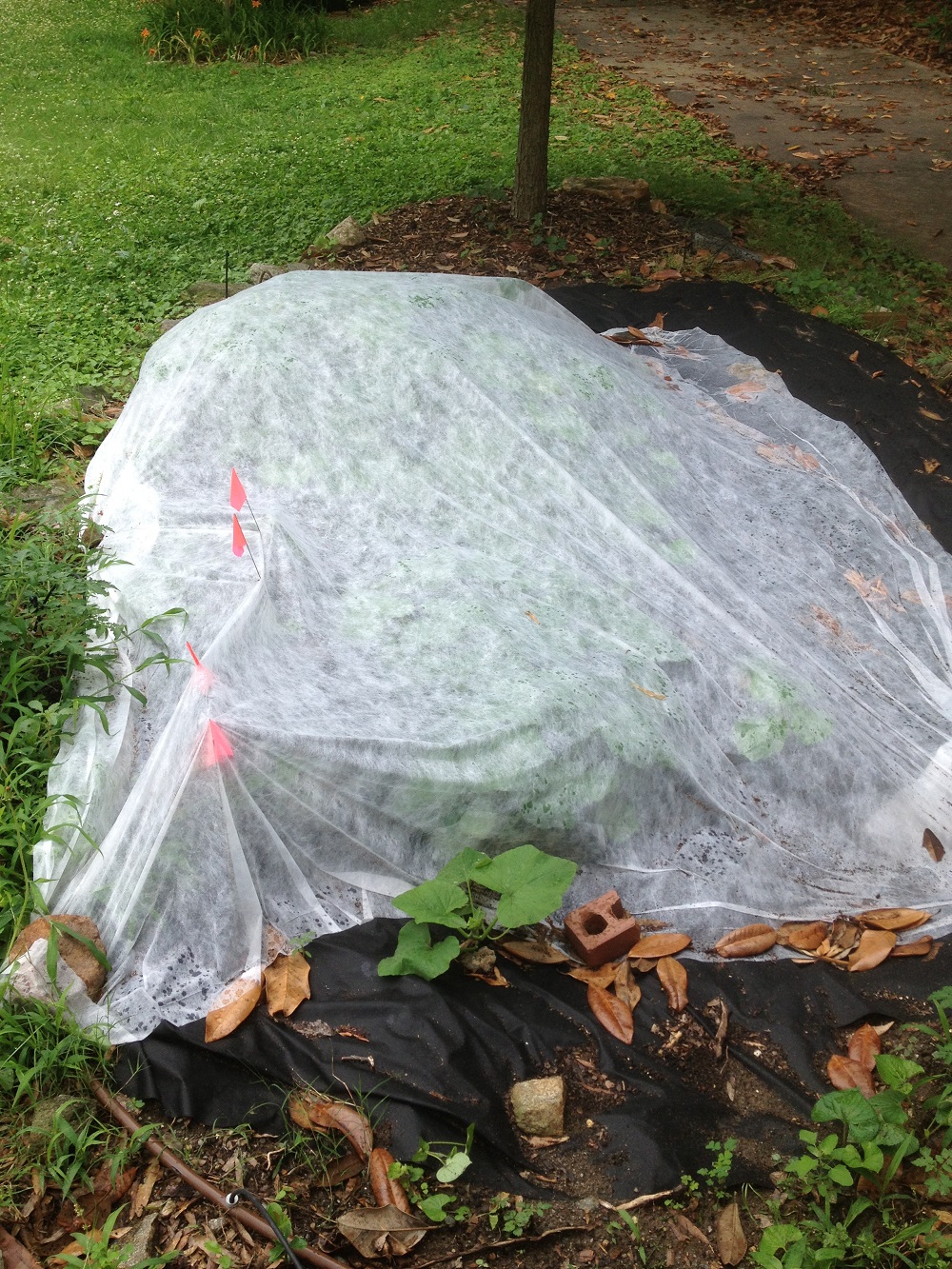 Water-Powered Weeder